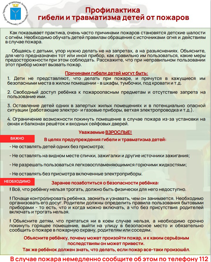Профилактика гибели и травматизации детей от пожаров.
