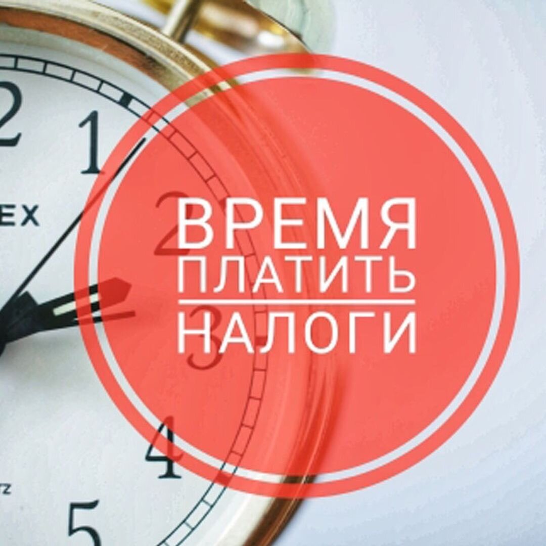 Напоминание о необходимости уплаты налогов.