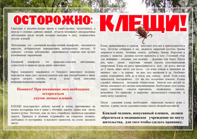 ПАМЯТКА ДЛЯ НАСЕЛЕНИЯ. Осторожно - клещи.. ПАМЯТКА ДЛЯ НАСЕЛЕНИЯ. Осторожно - клещи..